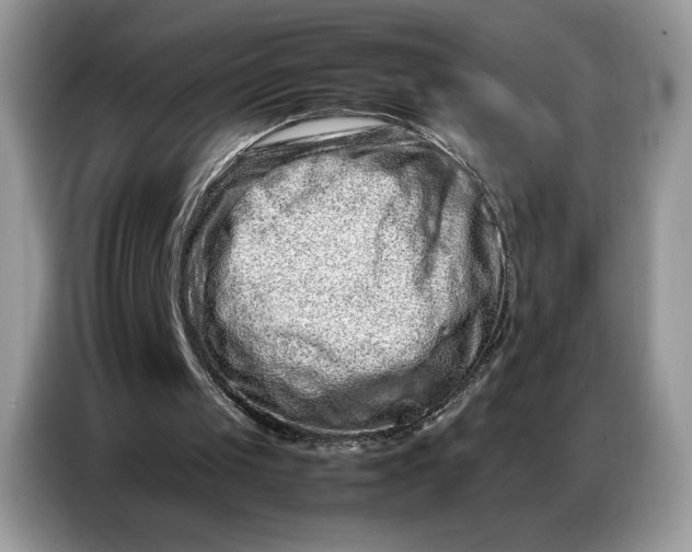 X0000086740049200704271658