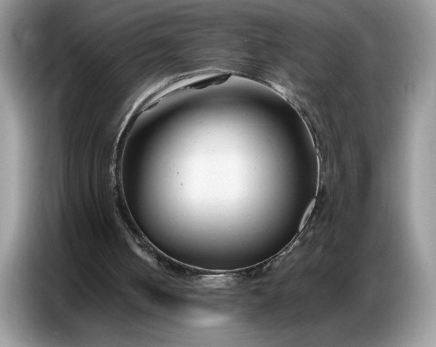 X0000086740050200704271658