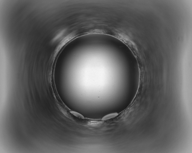 X0000086740051200704271658