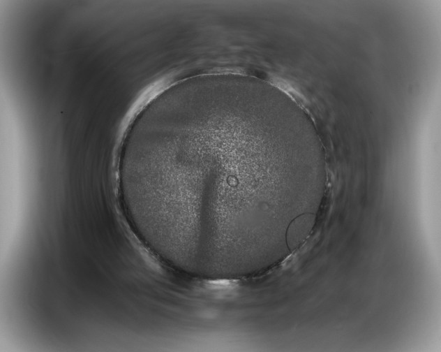 X0000086740053200704271658