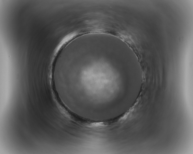 X0000086740054200704271658