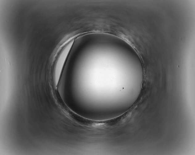 X0000086740055200704271658