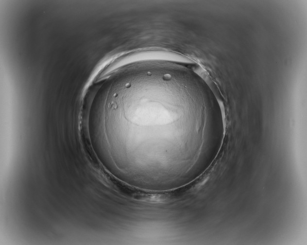 X0000086740056200704271658