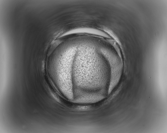 X0000086740057200704271658