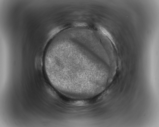 X0000086740059200704271658