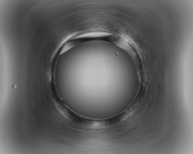 X0000086740060200704271658