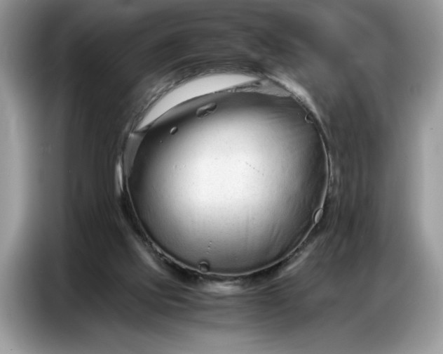 X0000086740061200704271658