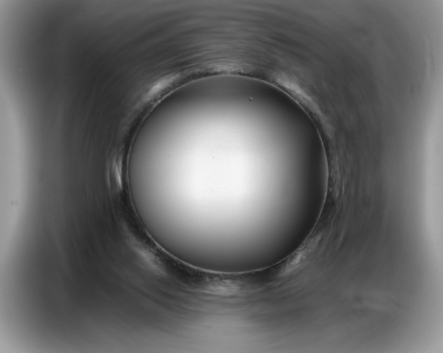 X0000086740062200704271658