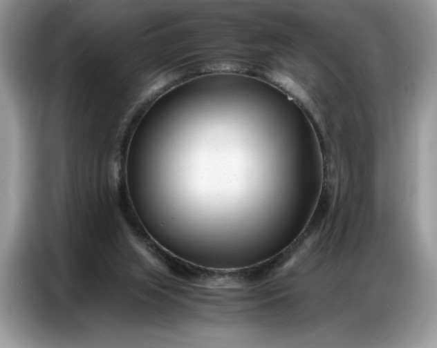 X0000086740063200704271658