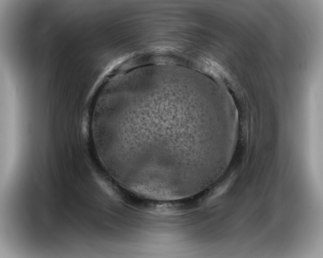 X0000086740064200704271658