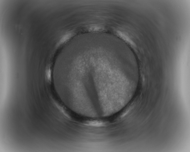 X0000086740067200704271658