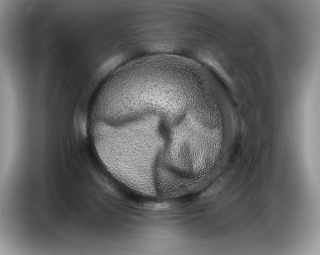 X0000086740068200704271659