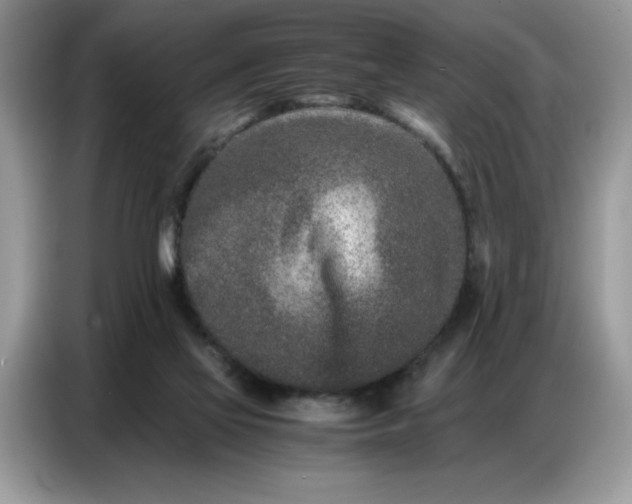 X0000086740069200704271659