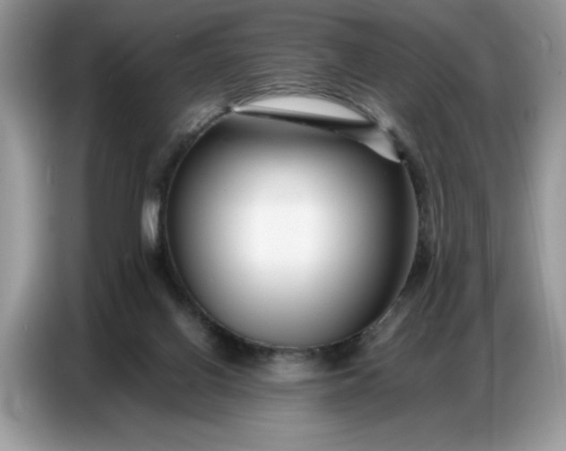 X0000086740070200704271659