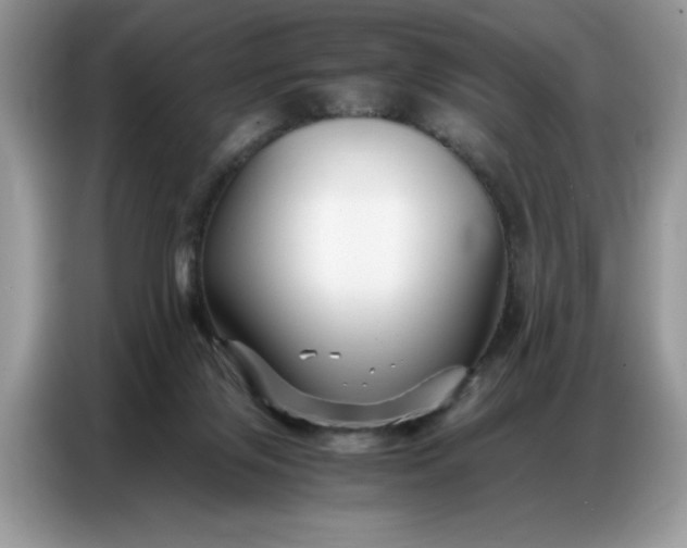 X0000086740071200704271659