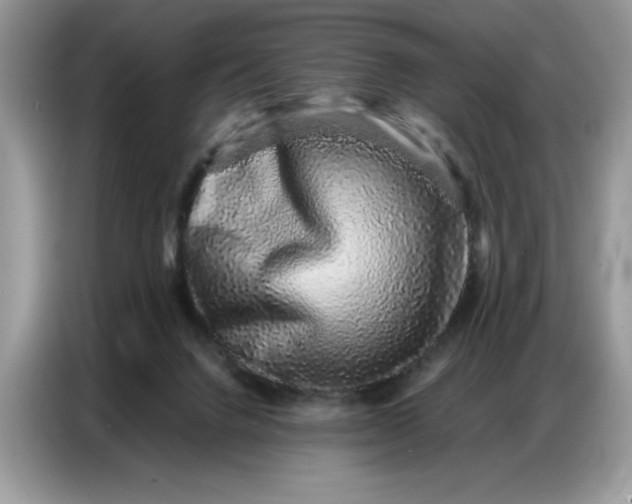 X0000086740072200704271659