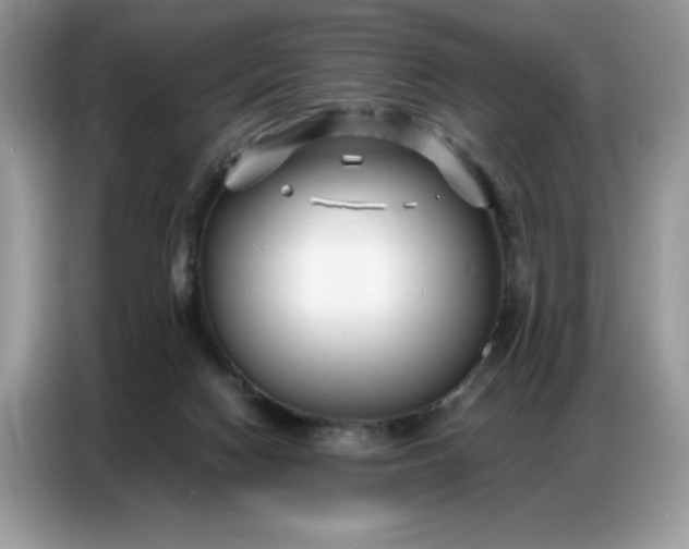 X0000086740074200704271659