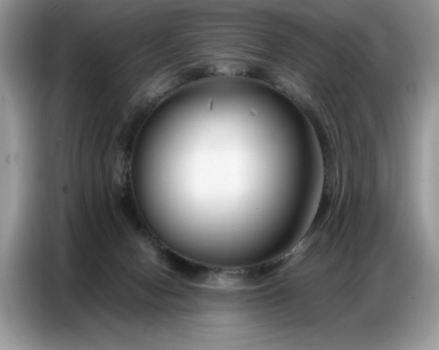 X0000086740078200704271659