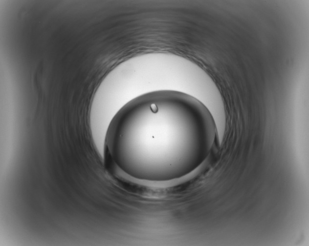 X0000086740084200704271659