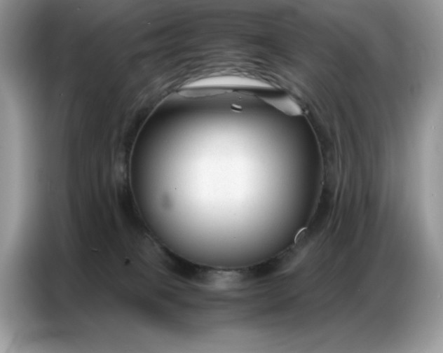 X0000086740085200704271659