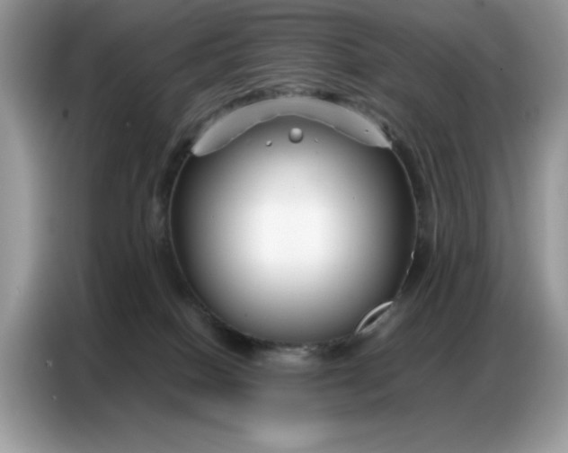 X0000086740086200704271659