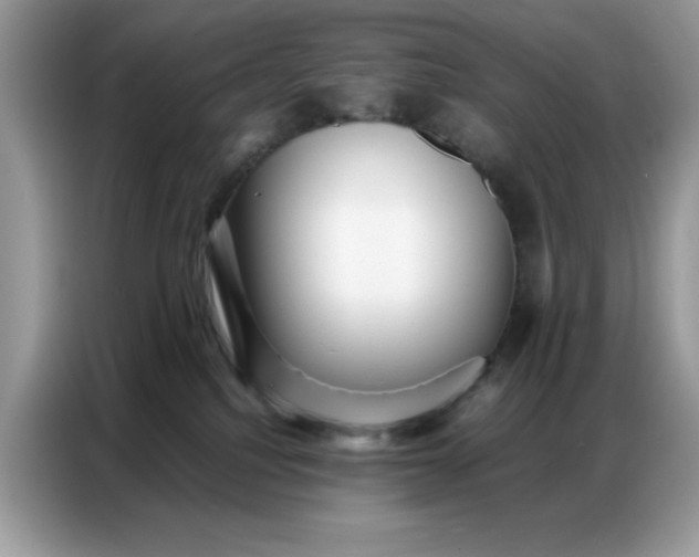 X0000086740088200704271659