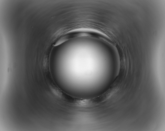 X0000086740092200704271659