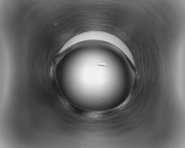 X0000086740094200704271659