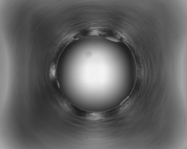 X0000086740095200704271659