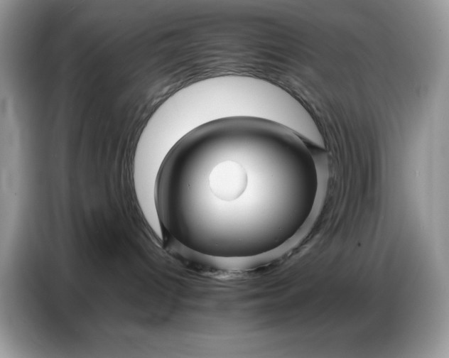 X0000086740096200704271659