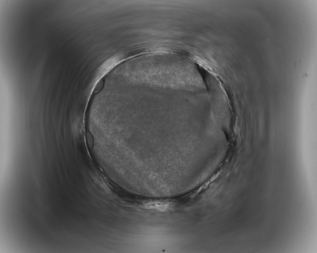 X0000086740099200704271658