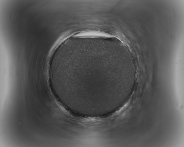 X0000086740101200704271658