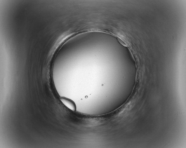 X0000086740103200704271658