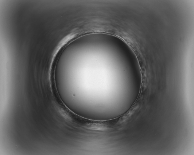 X0000086740104200704271658