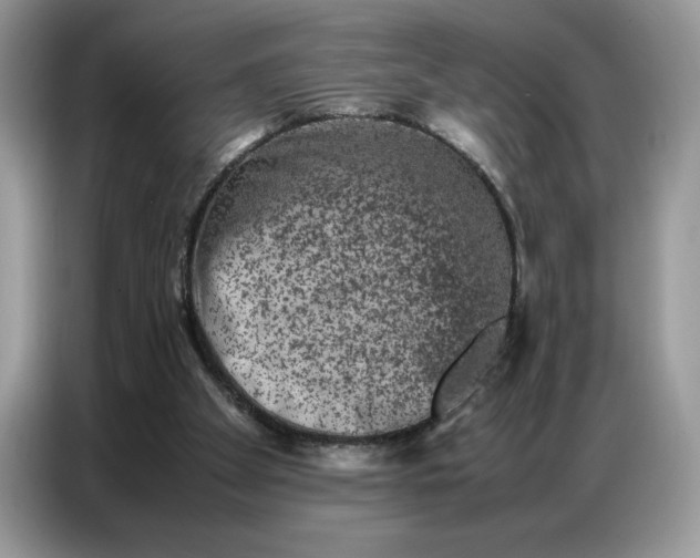 X0000086740105200704271658