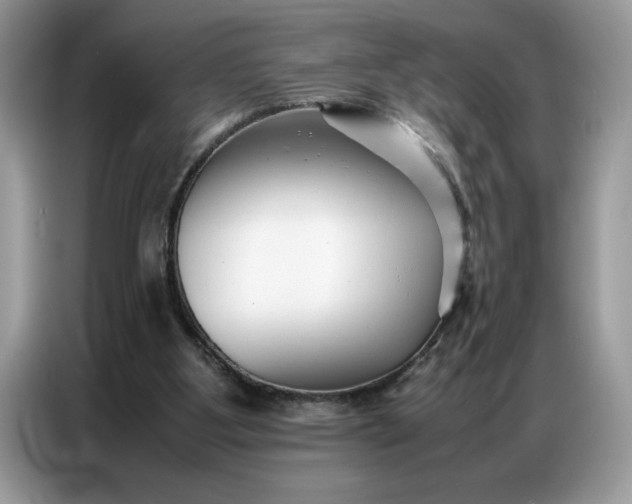 X0000086740107200704271658