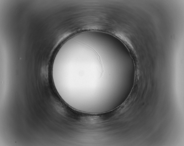 X0000086740108200704271658