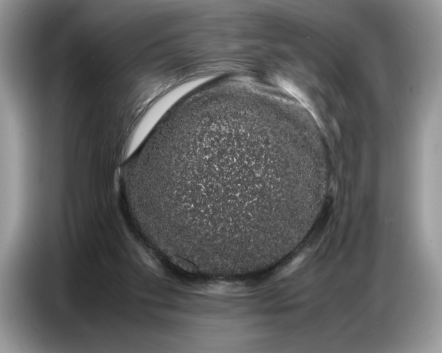 X0000086740109200704271658