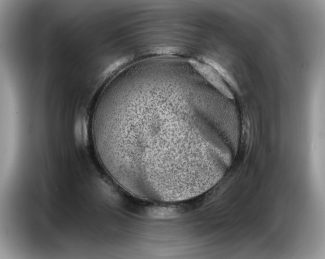 X0000086740110200704271658