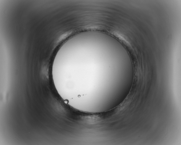 X0000086740112200704271658