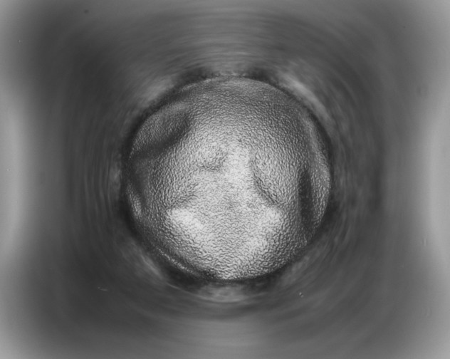 X0000086740113200704271658