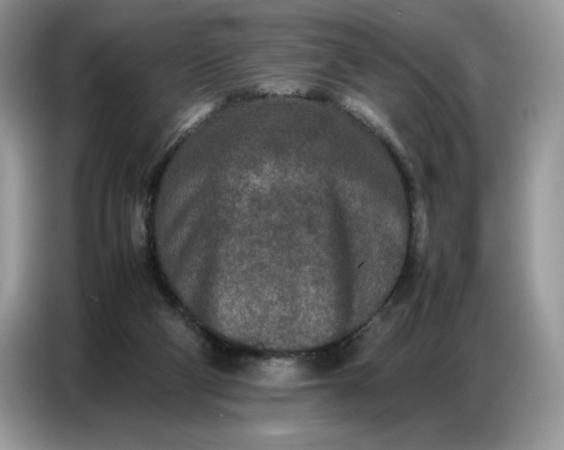 X0000086740114200704271658