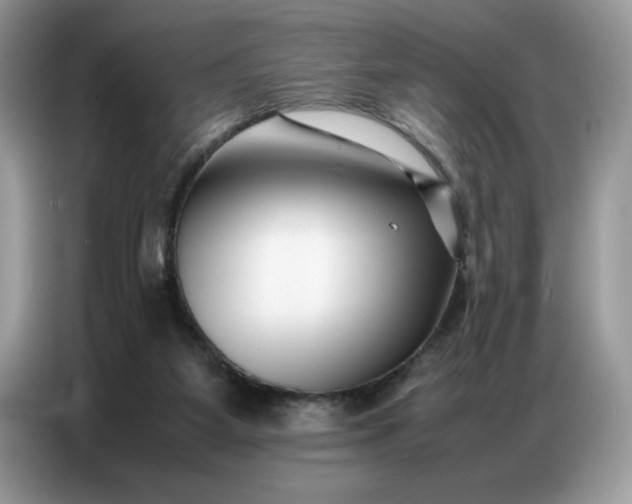 X0000086740115200704271658