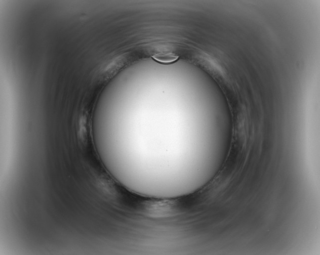 X0000086740122200704271658