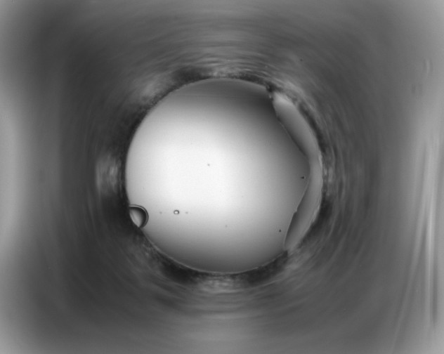 X0000086740123200704271658