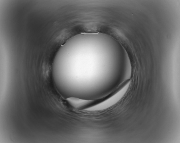 X0000086740125200704271658