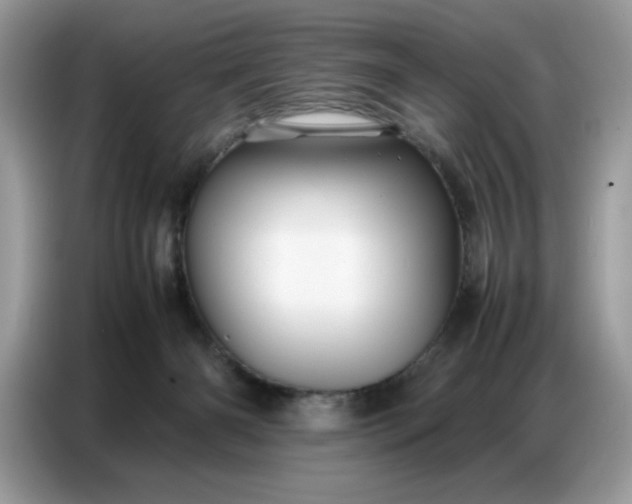 X0000086740126200704271658