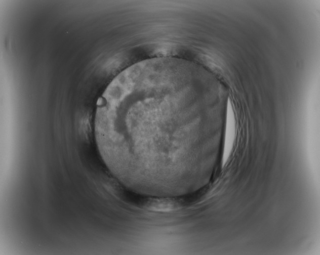 X0000086740127200704271658