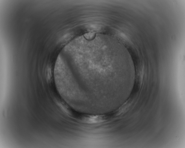 X0000086740130200704271658