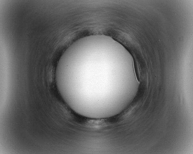 X0000086740133200704271658